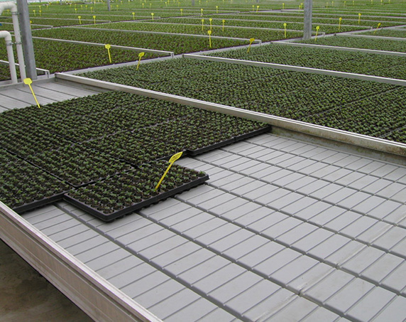 Hydroponic nursery flow table