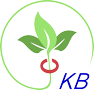 Shenzhen kangbiao Trading Co., Ltd